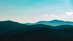 billy-williams-262740-unsplash-1-1-min