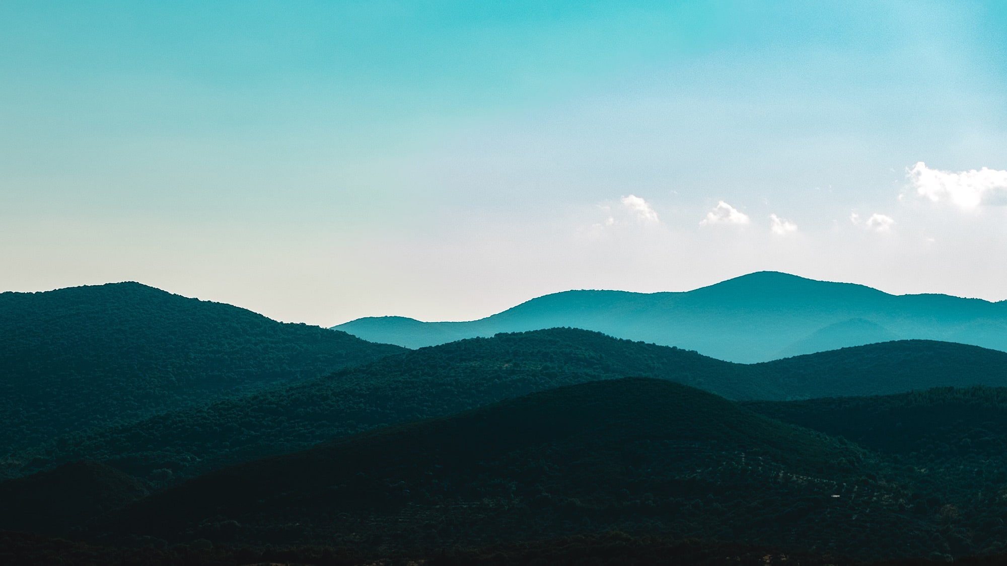 billy-williams-262740-unsplash-1-1-min