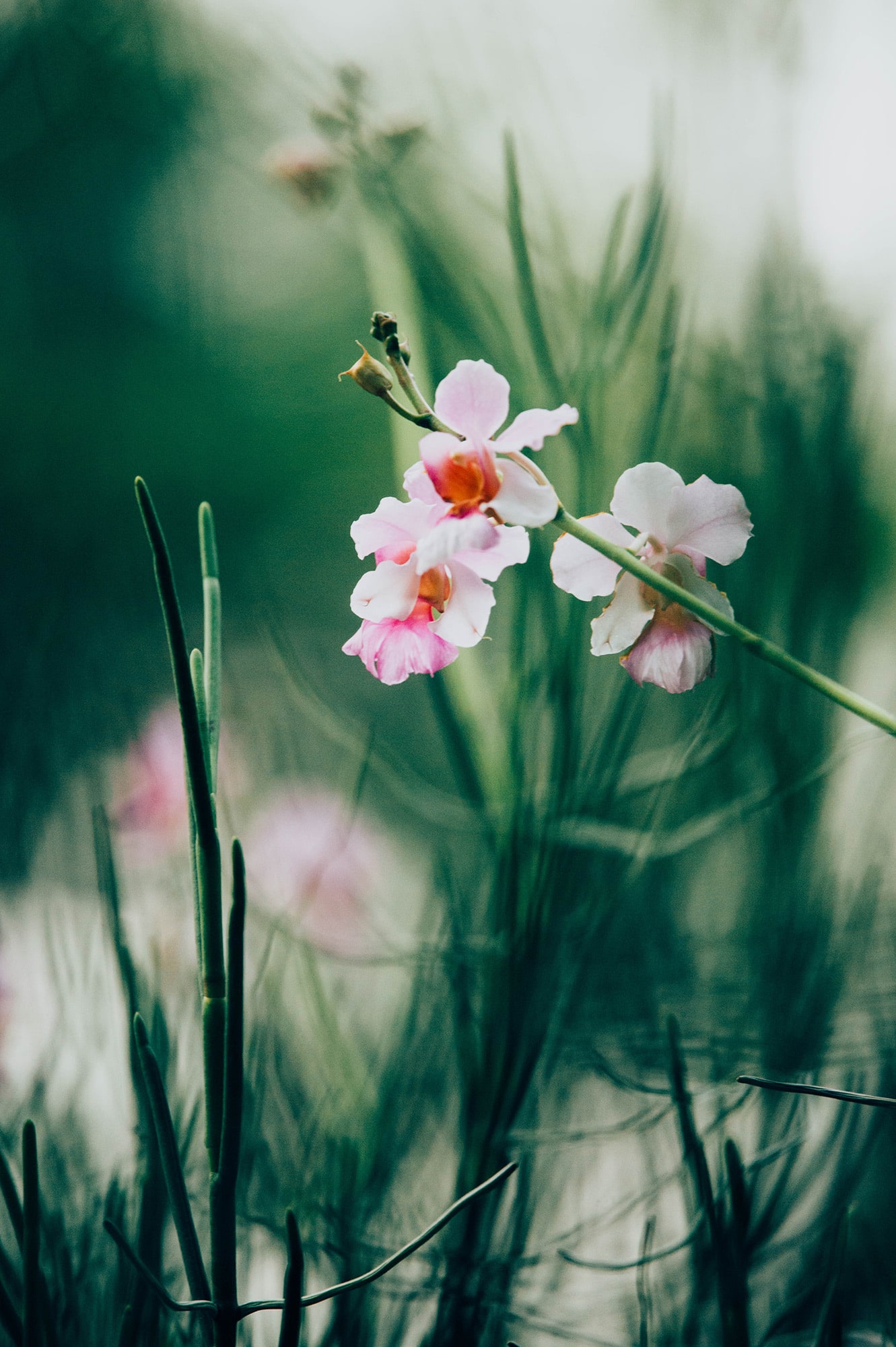 chuttersnap-565733-unsplash-1-1-min