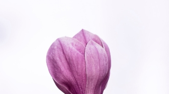 erda-estremera-572432-unsplash-1-1-min