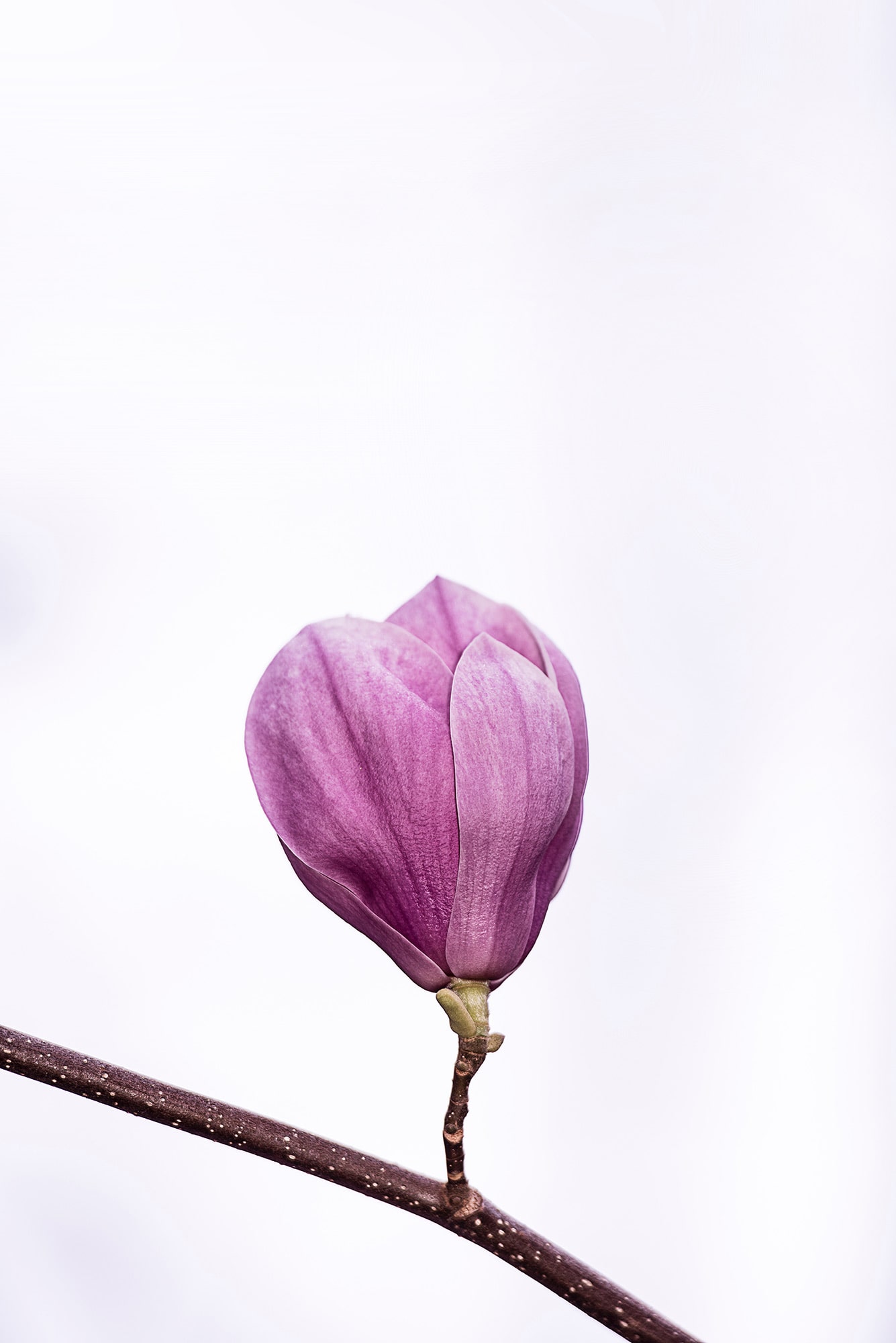 erda-estremera-572432-unsplash-1-1-min