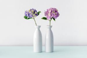 maarten-deckers-295105-unsplash-1-1-min
