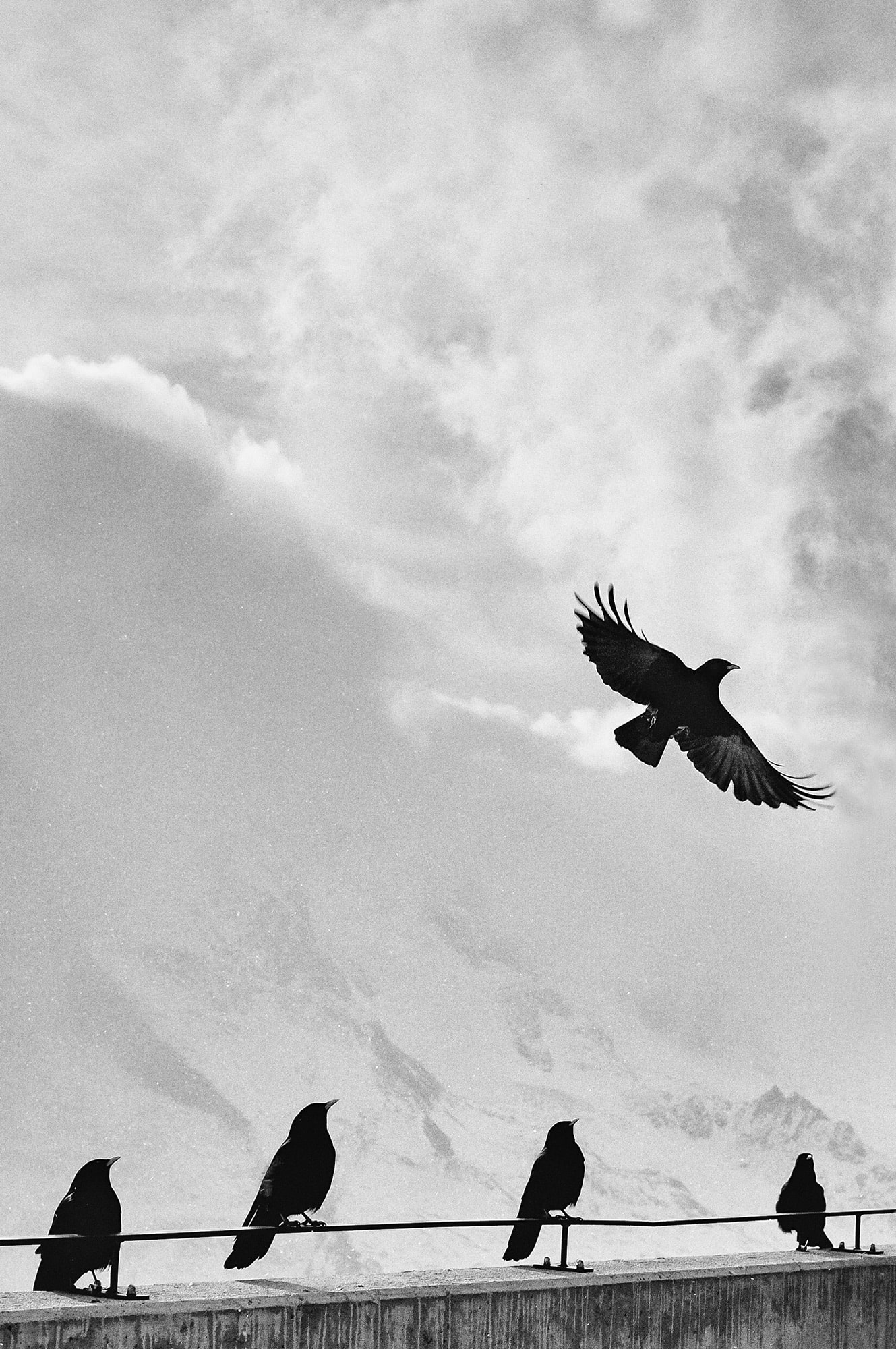 samuel-zeller-34761-unsplash-1-1 (1)-min